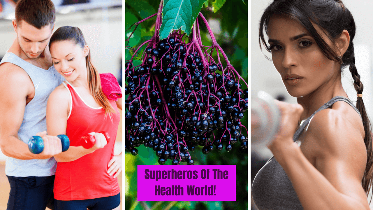 Elderberry Shot Benefits: Why They Should Be Part of Your Wellness Routine!